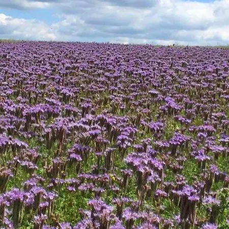 Cozy In Hiking Region *