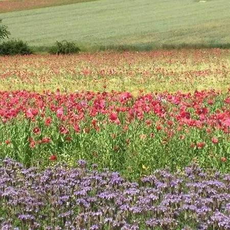 Cozy In Hiking Region *