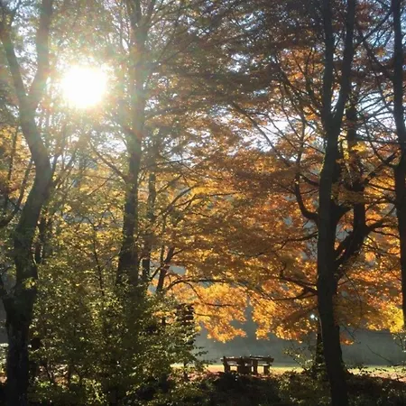 Cozy In Hiking Region Casa vacanze *