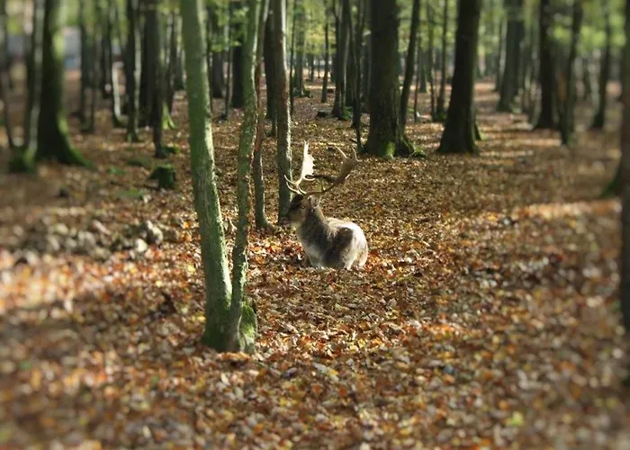 Cozy In Hiking Region Trubenhausen