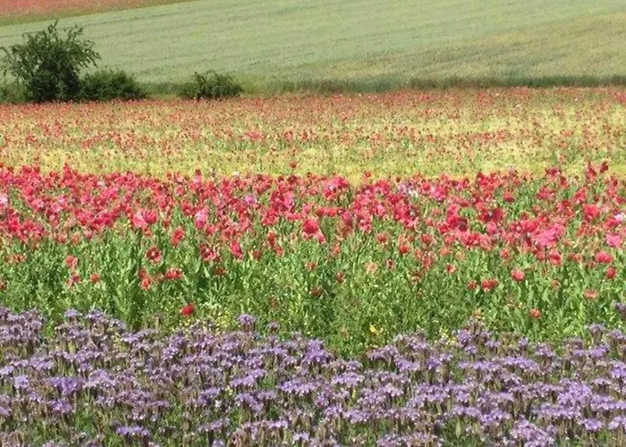 Cozy In Hiking Region *