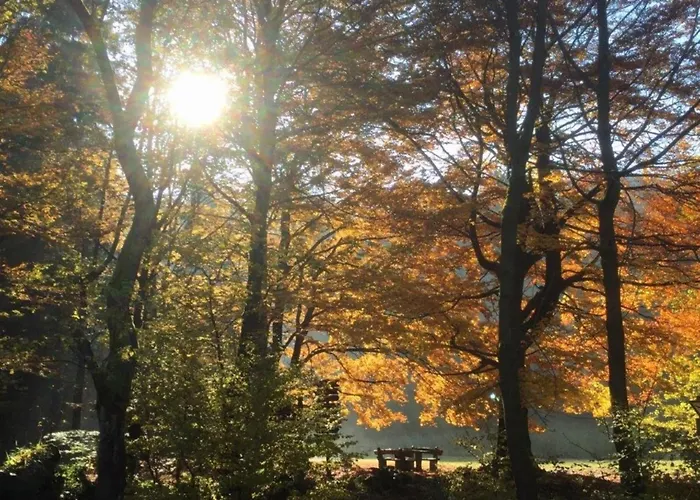 Cozy In Hiking Region Σπίτι διακοπών *